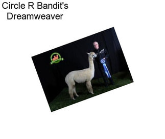 Circle R Bandit\'s Dreamweaver