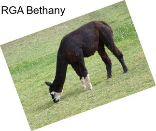 RGA Bethany