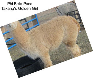 Phi Beta Paca Takana\'s Golden Girl