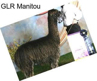 GLR Manitou