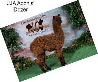 JJA Adonis\' Dozer