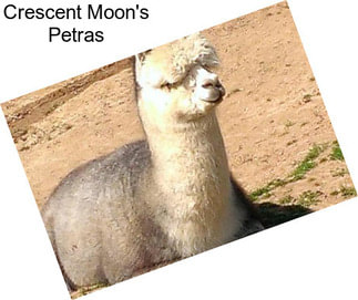 Crescent Moon\'s Petras