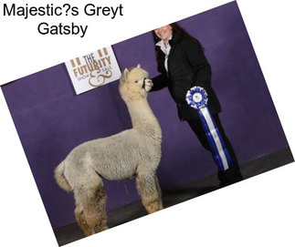 Majestic?s Greyt Gatsby