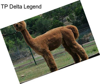 TP Delta Legend