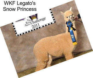 WKF Legato\'s Snow Princess