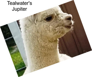 Tealwater\'s Jupiter