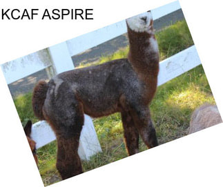 KCAF ASPIRE