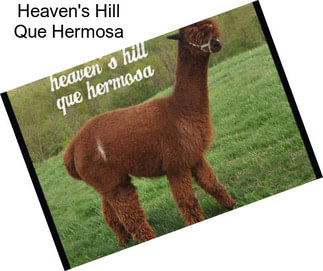 Heaven\'s Hill Que Hermosa