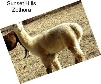 Sunset Hills Zethora