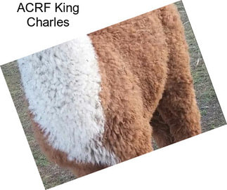 ACRF King Charles