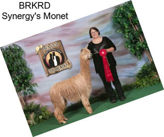BRKRD Synergy\'s Monet
