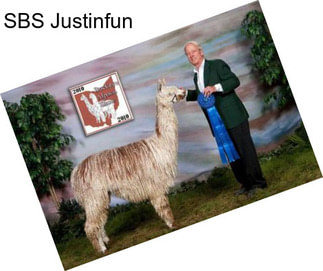 SBS Justinfun