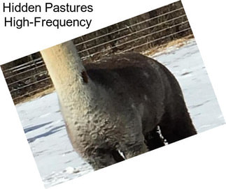 Hidden Pastures High-Frequency