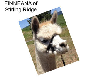 FINNEANA of Stirling Ridge