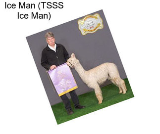 Ice Man (TSSS Ice Man)