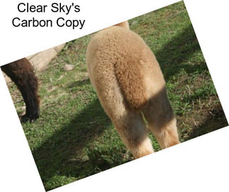 Clear Sky\'s Carbon Copy