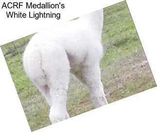 ACRF Medallion\'s White Lightning