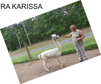 RA KARISSA