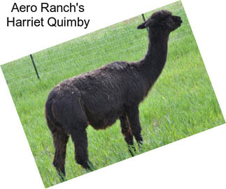 Aero Ranch\'s Harriet Quimby