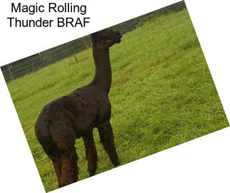 Magic Rolling Thunder BRAF