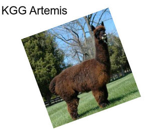 KGG Artemis