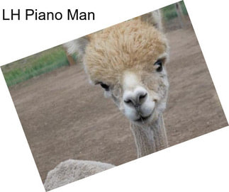 LH Piano Man