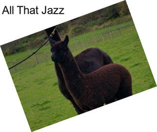 All That Jazz