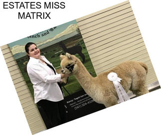 ESTATES MISS MATRIX