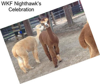 WKF Nighthawk\'s Celebration