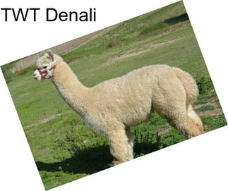 TWT Denali