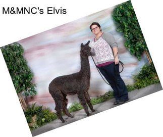 M&MNC\'s Elvis