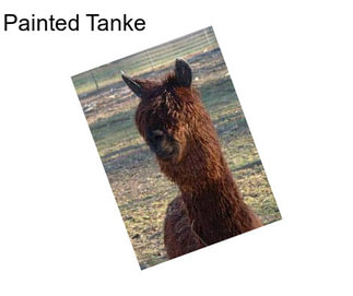 Painted Tanke