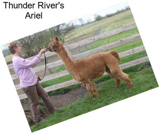 Thunder River\'s Ariel