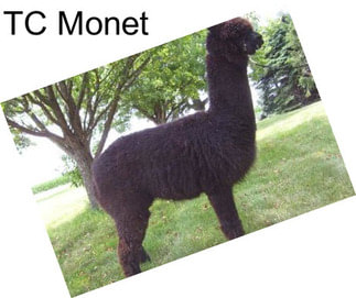 TC Monet