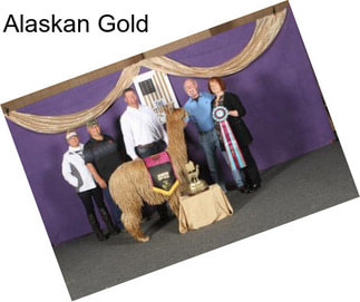 Alaskan Gold