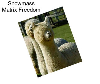 Snowmass Matrix Freedom