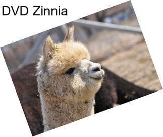 DVD Zinnia