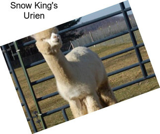 Snow King\'s Urien