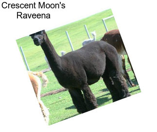 Crescent Moon\'s Raveena