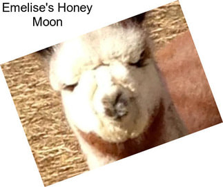 Emelise\'s Honey Moon