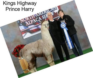 Kings Highway Prince Harry