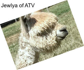 Jewlya of ATV