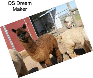 OS Dream Maker