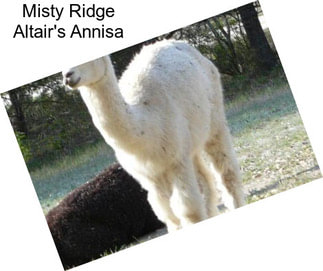 Misty Ridge Altair\'s Annisa