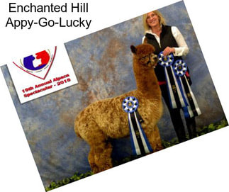 Enchanted Hill Appy-Go-Lucky
