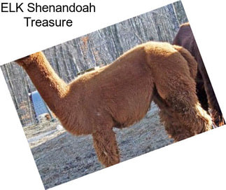 ELK Shenandoah Treasure