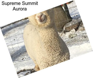 Supreme Summit Aurora