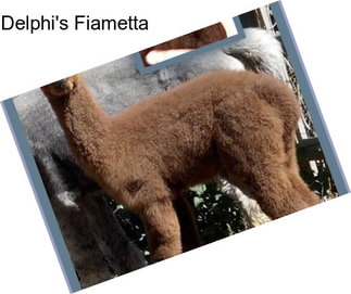 Delphi\'s Fiametta