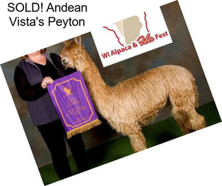 SOLD! Andean Vista\'s Peyton