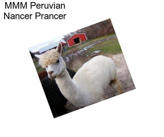 MMM Peruvian Nancer Prancer